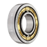 Traction Motor Bearings